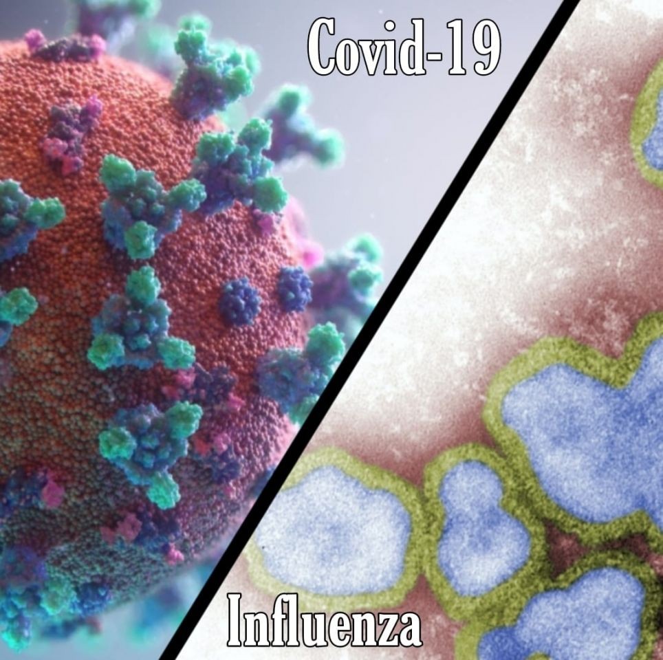 cover-for-flu-coronavirus-blog