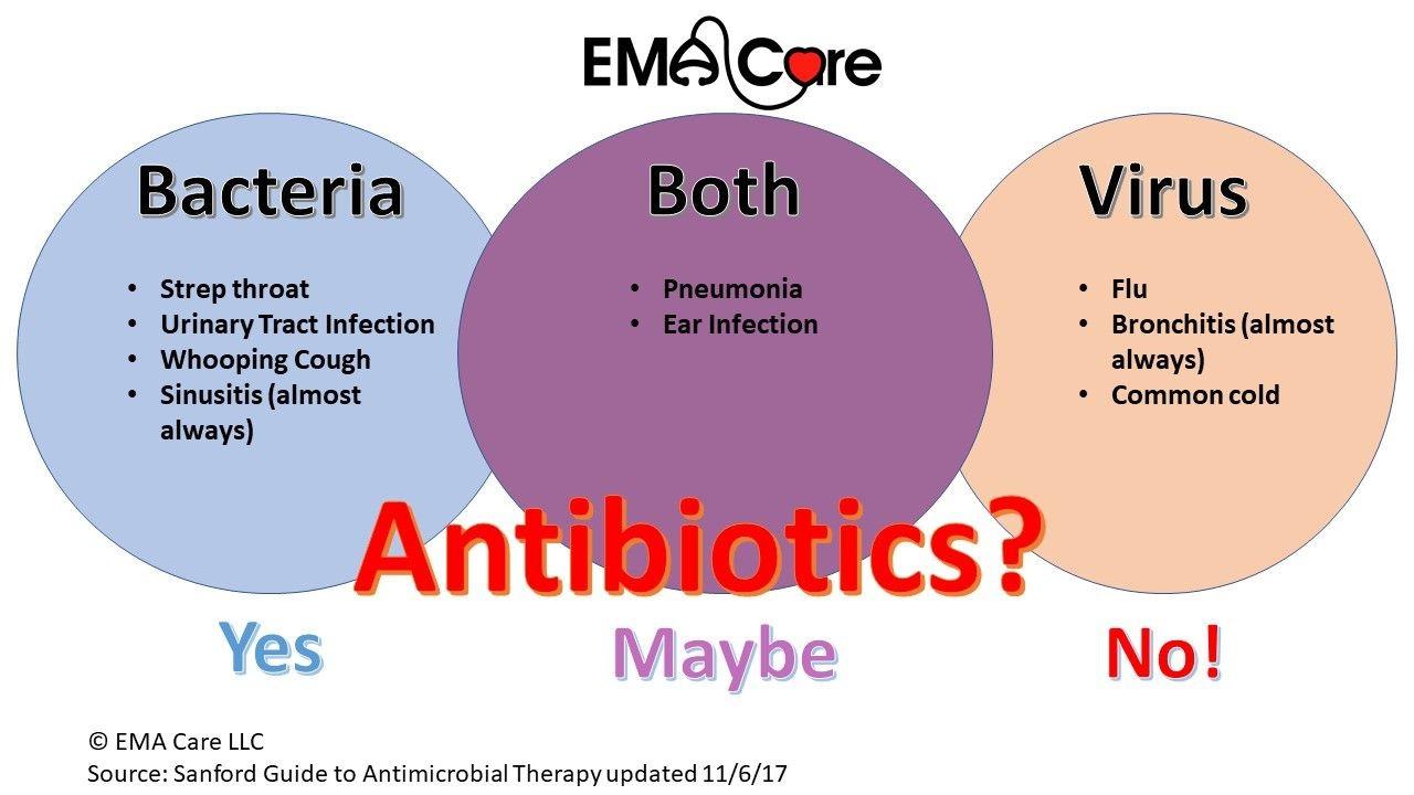 bacteria-vs-virus-meme